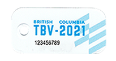 2021_TB Vets Key Tag